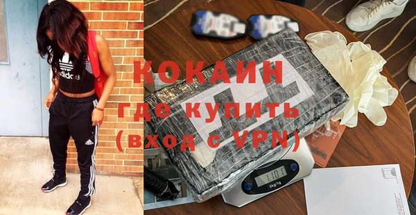 мяу мяу мука Белокуриха