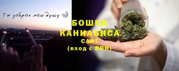 индика Белоозёрский