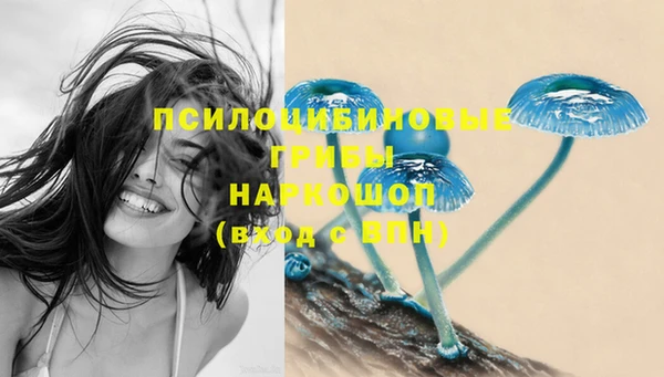 индика Белоозёрский