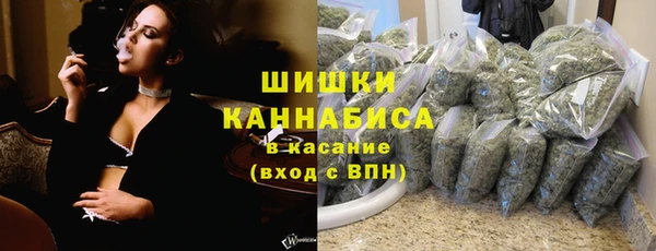 индика Белоозёрский