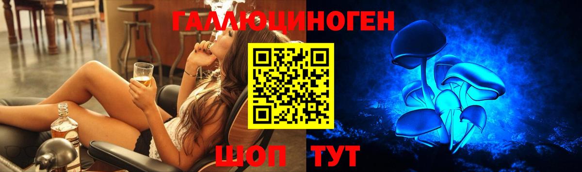 Псилоцибиновые грибы прущие грибы  Вход с VPN  Горно-Алтайск 