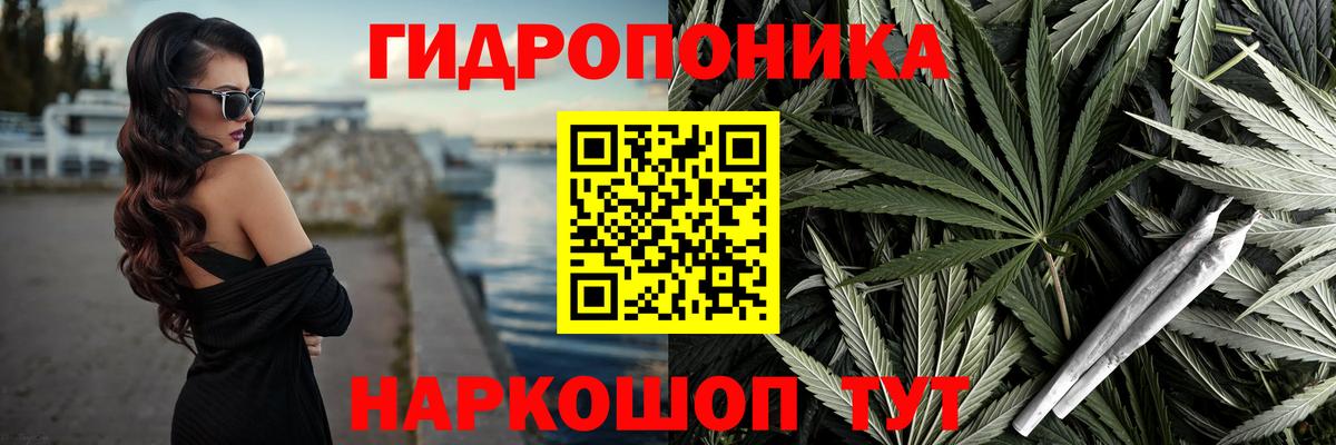 Канабис план Горно-Алтайск